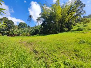 Foto 7 de Lote de 3.200 M² en Venta en Serranía, Jardín, Antioquia