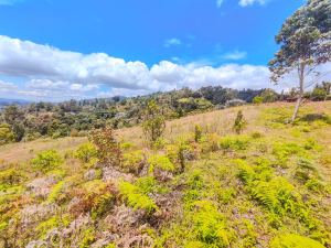 Foto 6 de Finca en Venta en Sajonia, Rionegro de 14300 M²