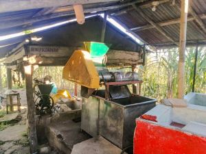 Foto 6 de Finca en Venta en la Vereda la Marquesa, Yolombó