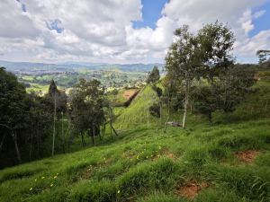 Foto 8 de Lote de 2.639 M² en Venta en San Pedro de los Milagros