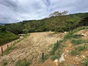 Foto 8 de Lotes en Barbosa Área 1000 M2 Topografía Plana Tendida