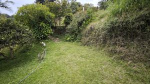 Foto 8 de Finca Cafetera en Venta Cerca del Casco Urbano de Montebello
