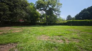 Foto 7 de Lotes con Escritura en Venta en Parcelación en Sopetrán
