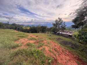 Foto 7 de Lote en Venta en la Vereda Quimbaya, San Jerónimo