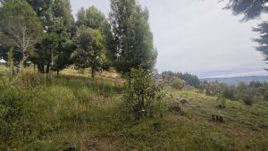 Foto 7 de Lote de 1.970 M² en Venta en la Vereda San Isidro, Guarne