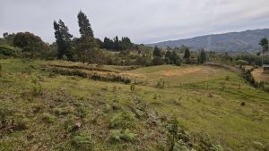 Foto 5 de Lote en Guarne Vereda San Isidro