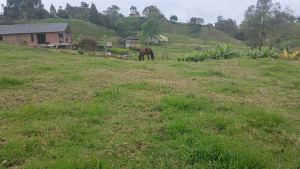 Foto 8 de Lote en Venta en San Pedro de los Milagros de 2600 M²