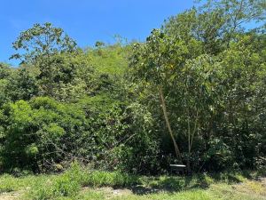 Foto 7 de Finca en Venta en Sopetrán de 2700 M²