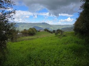 Foto 7 de Lote en Venta en Alto de Matasano, Barbosa de 6899 M²
