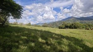 Foto 7 de Lote en Venta Copacabana el Noral