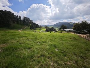 Foto 5 de Lote en Venta en Vereda Santa Barbara, San Pedro de los Milagros de 2843 M²