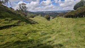 Foto 7 de Lote en Venta en Vereda Santa Barbara, San Pedro de los Milagros de 2730 M²