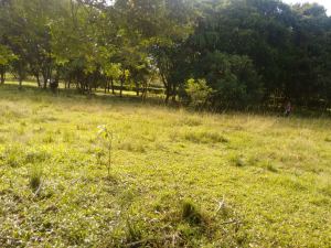 Foto 8 de Lote en Venta Porce en Unidad Cerrada Plano