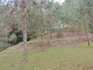 Foto 8 de Lote en Venta en la Catedral, Envigado de 12000 M²