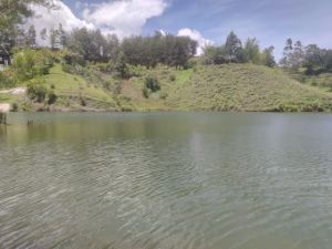 Foto 8 de Lote de 3.353 M² en Venta en Vereda Uvital, el Peñol