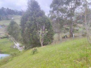 Foto 5 de Lote en Venta en Vereda San José, Guarne de 7200 M²