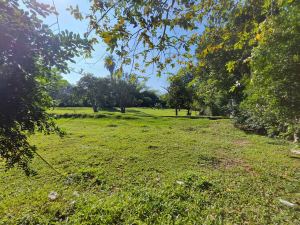 Foto 1 de Lote en Santa Fe de Antioquia en la Milla de Oro