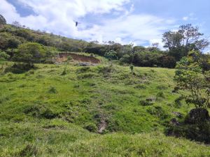 Foto 2 de Lote en Girardota Vereda Portachuelo