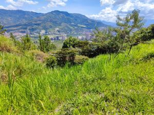 Foto 8 de Lote en Venta en Norteamérica, Bello de 2813 M²