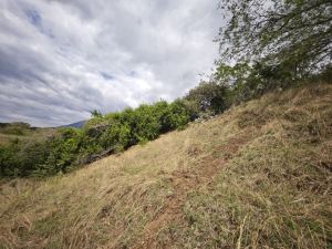 Foto 8 de Lote en Venta en Vereda Ciruelac, Sopetrán de 2800 M²