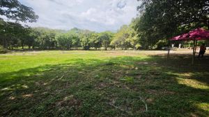 Foto 8 de Lotes con Escritura en Venta en Parcelación en Sopetrán