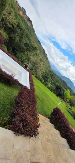 Foto 8 de Finca en Parcelación en Venta en San Jerónimo