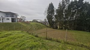 Foto 8 de Lote de 4.200 M² en Venta en la Vereda San Isidro, Guarne