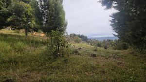 Foto 8 de Lote de 1.970 M² en Venta en la Vereda San Isidro, Guarne