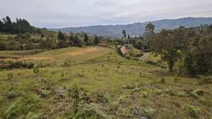 Foto 6 de Lote en Guarne Vereda San Isidro