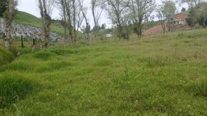 Foto 1 de Lote en Venta en San Pedro de los Milagros de 2600 M²