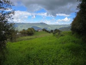 Foto 8 de Lote en Venta en Alto de Matasano, Barbosa de 6899 M²