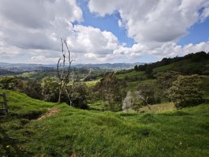 Foto 7 de Lote en Venta en Vereda Santa Barbara, San Pedro de los Milagros de 3720 M²