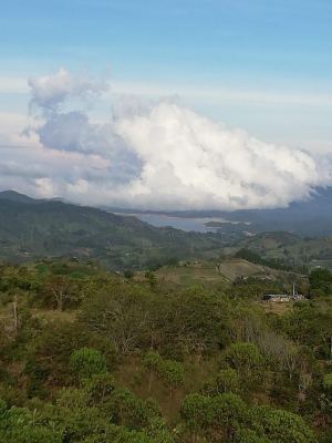 Foto 4 de Finca en San Vicente de Ferrer