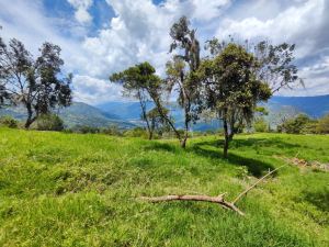 Foto 8 de Lote de 3.418 M² en Venta en Vereda el Zarzal, Copacabana