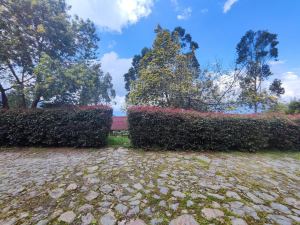 Foto 8 de Finca en Venta en la Miel, Caldas de 9900 M²