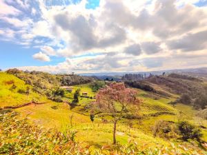 Foto 6 de Finca en Venta en San Vicente de 44000 M²