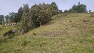 Foto 7 de Lote en Guarne Vereda San Isidro