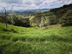 Foto 8 de Lote en Venta en Vereda Santa Barbara, San Pedro de los Milagros de 3720 M²