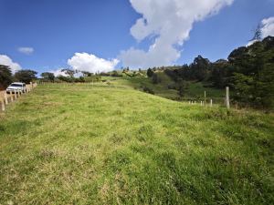 Foto 7 de Lote en Venta en Vereda Santa Barbara, San Pedro de los Milagros de 2843 M²
