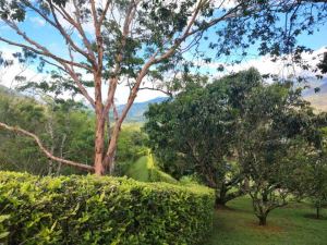 Foto 5 de Finca en Venta en Barbosa de 17560 M²