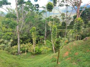 Foto 7 de Finca en Venta en Barbosa de 17560 M²