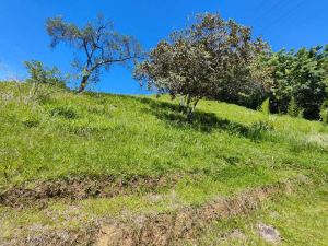 Foto 7 de Finca en Venta en Barbosa de 12389 M²