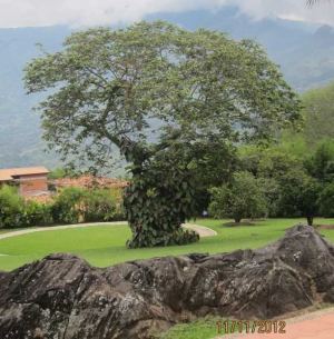 Foto 6 de Finca 18.000 M², 8 Alcobas, Vereda el Zarzal, Copacabana