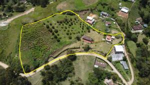 Foto 2 de Finca en el Carmen del Viboral