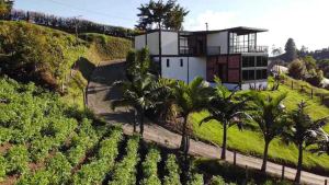 Foto 8 de Finca en Venta en Vereda el Socorro, Marinilla de 6400 M²