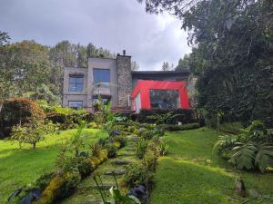 Foto 8 de Finca de 7.200 M² con 3 Alcobas en Venta en la Catedral, Envigado