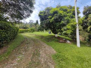 Foto 5 de Finca en Girardota Vereda el Totumo