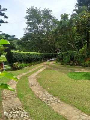 Foto 6 de Finca 43.000 M², 5 Alcobas, Vereda el Totumo, Girardota