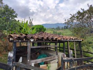 Foto 8 de Finca en Venta en San Andrés, Girardota de 24000 M²