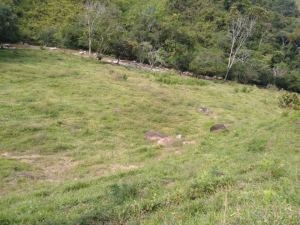 Foto 1 de Finca en San Roque